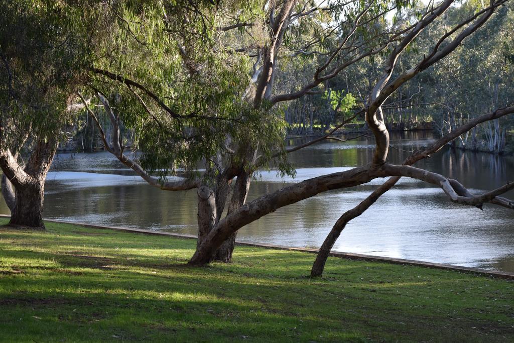 Bushy Lake Chalets Margaret River Luaran gambar
