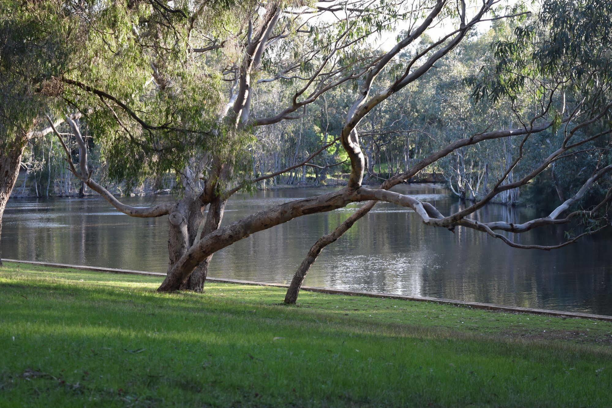 Bushy Lake Chalets Margaret River Luaran gambar